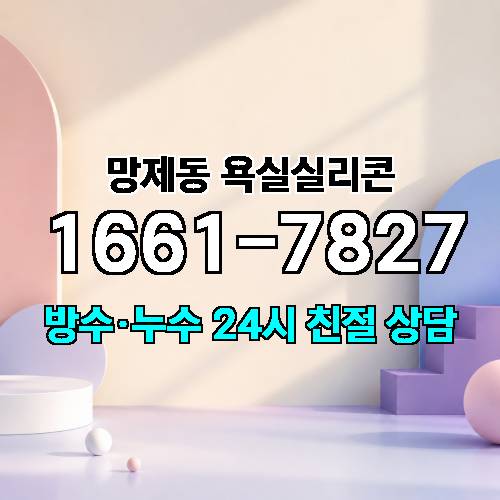 게시판 이미지 4241