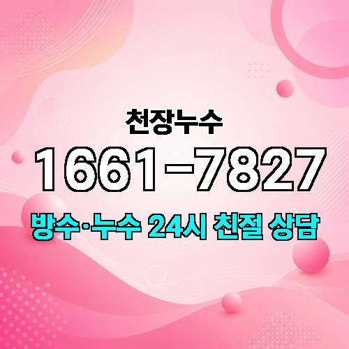게시판 이미지 2744