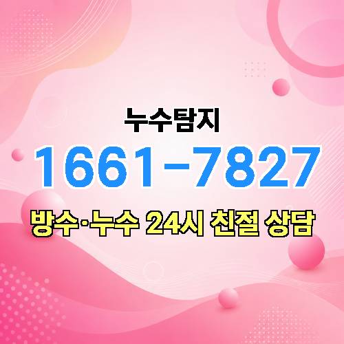 게시판 이미지 2447
