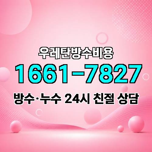 게시판 이미지 2704